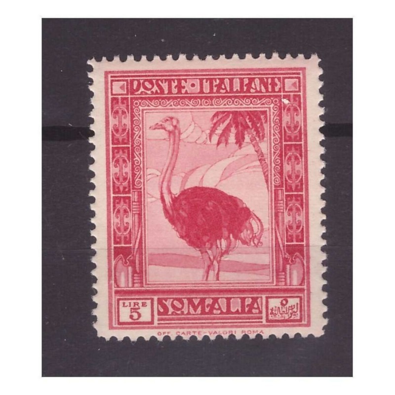 SOMALIA 1932  -  PITTORICA  STRUZZO -  Lire 5 DENT.  14  -   NUOVO **