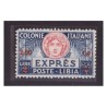 LIBIA 1933  - ESPRESSI  LIRE  2  su  2,50  NUOVO **  LUSSO