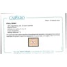 REGNO 1870 - SEGNATASSE  CENT.  50    NUOVO *