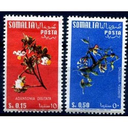SOMALIA AFIS 1958 - FIORI...
