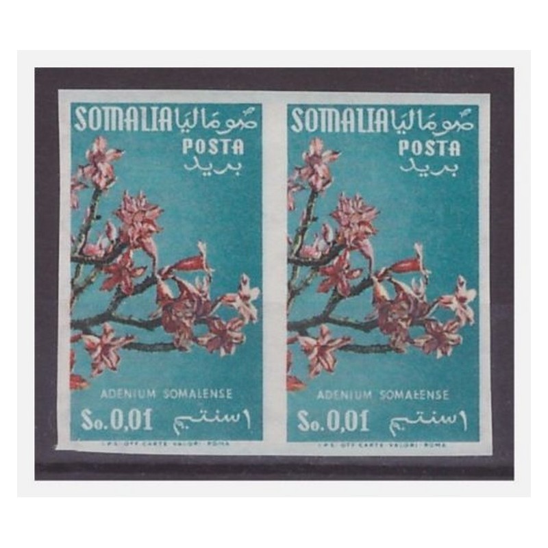 SOMALIA AFIS 1956 - FIORI 1 CENTESIMO COPPIA NON DENTELLATA NUOVO **