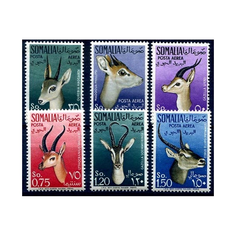 SOMALIA AFIS 1955 - POSTA AEREA ANIMALI Serie nuova **