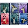SOMALIA AFIS 1955 - POSTA AEREA ANIMALI Serie nuova **
