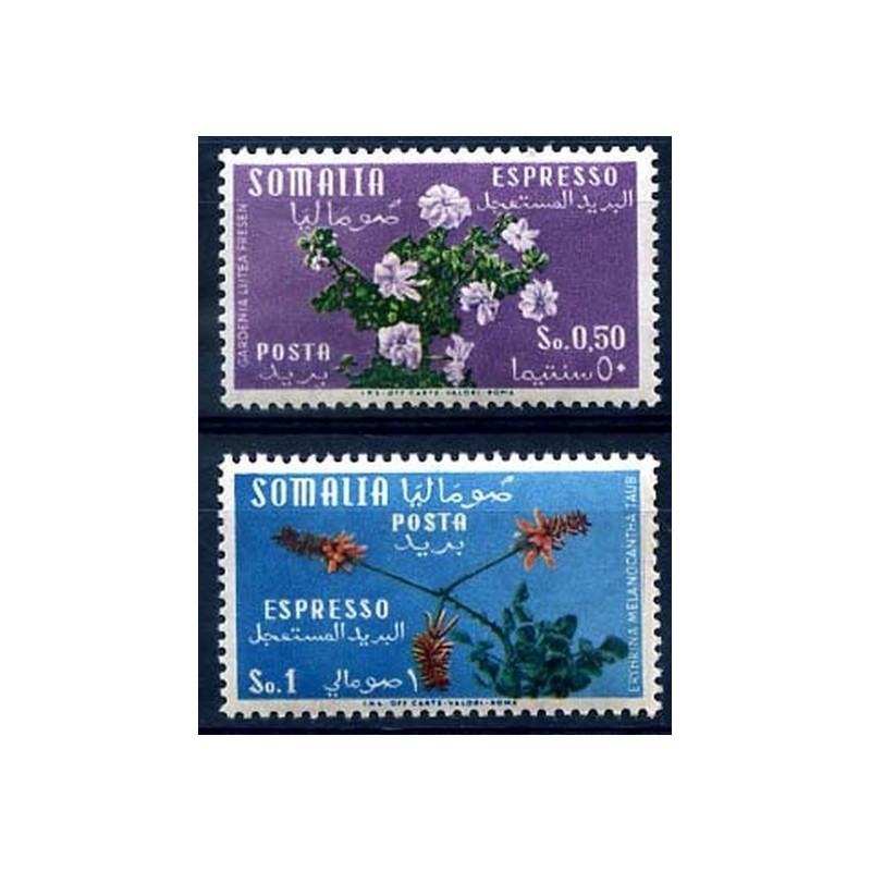 SOMALIA AFIS 1955 - FIORI ESPRESSI Nuovi **
