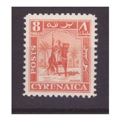 CIRENAICA  AMMINISTRAZIONE AUTONOMA  1950 - CAV. SENUSSITA 8  Mills  NUOVO **