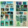 ITALIA - 1975  annata completa  nuova    **